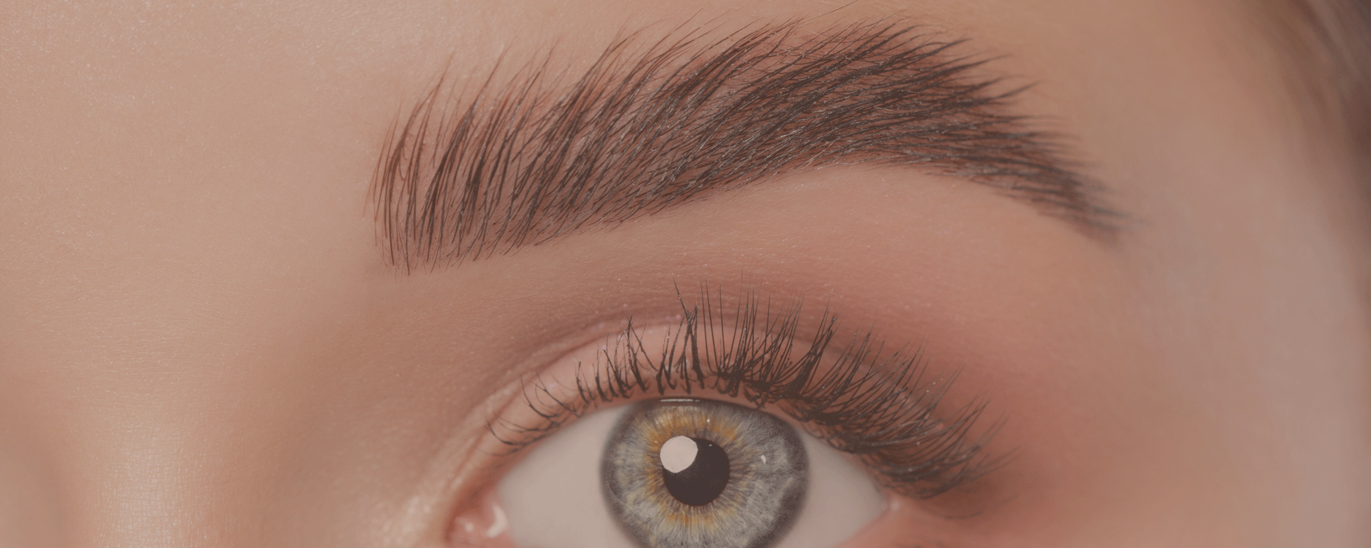 Services_Brows_overlay